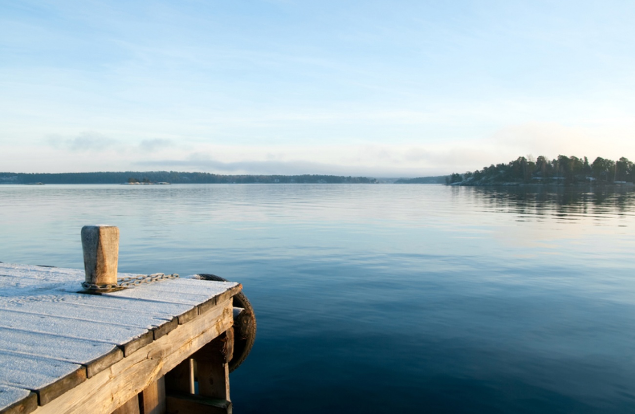 wild water swimming